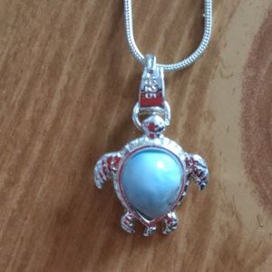 Turtle necklace